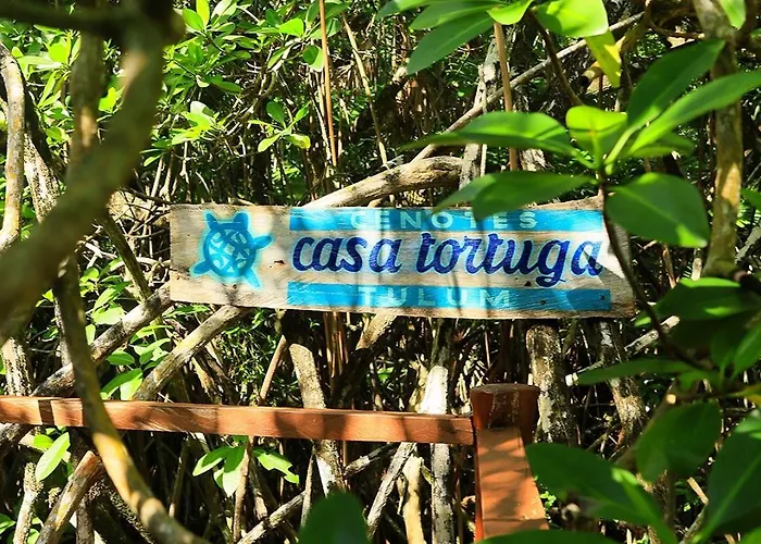 Casa Tortuga - Cenotes Park Inclusive