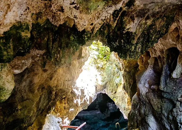 Casa Tortuga - Cenotes Park Inclusive Hotel Tulum