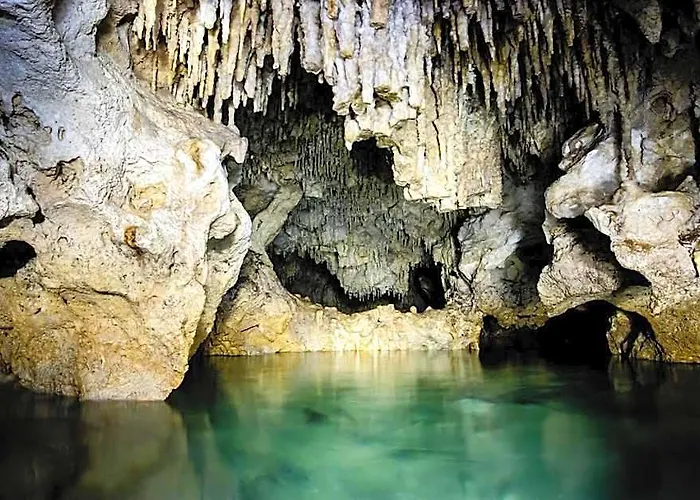 Casa Tortuga - Cenotes Park Inclusive Hotel Tulum